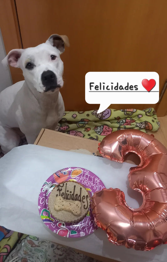Tartaleta cumpleaños perros