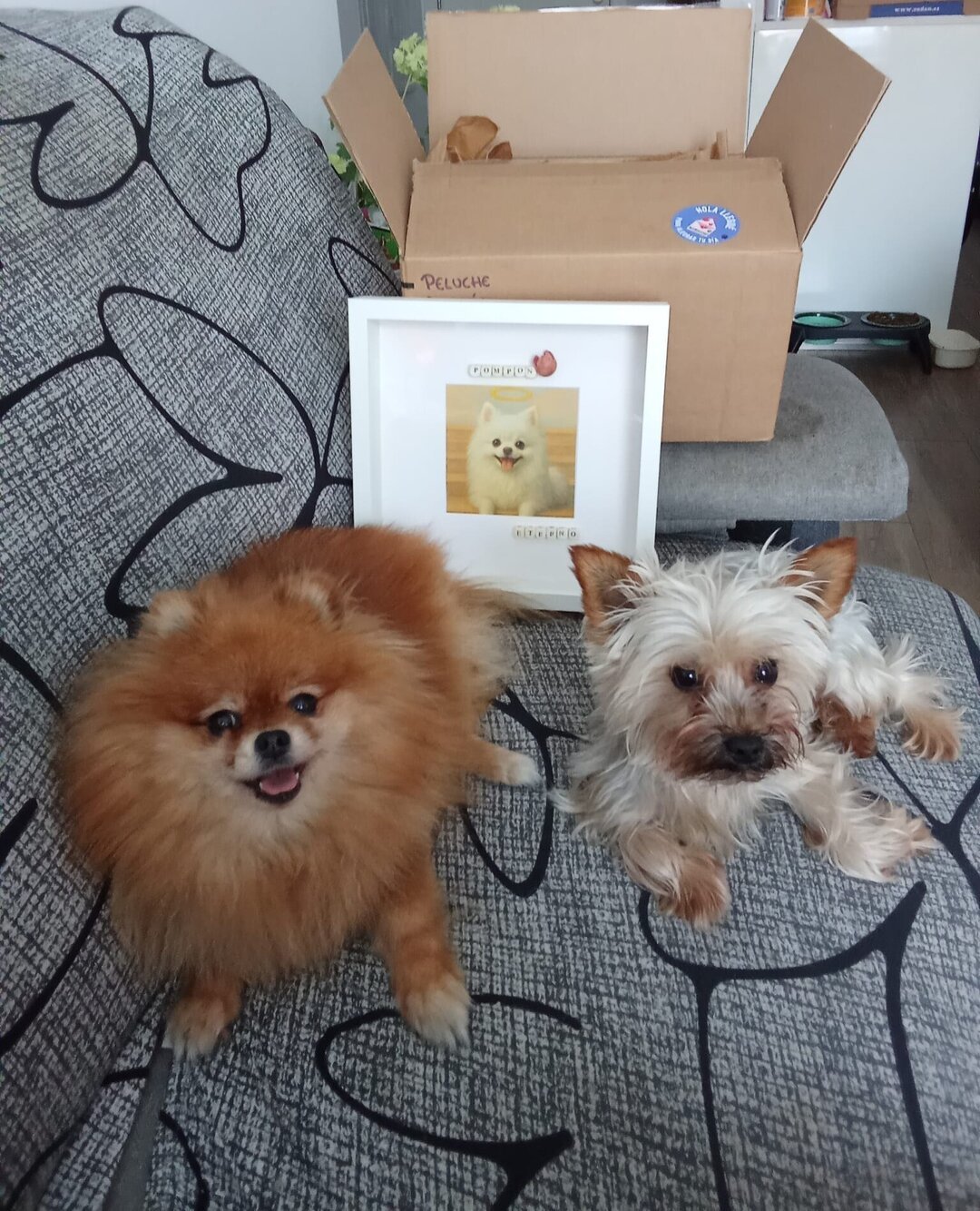 Marco 3D Personalizado para Mascota