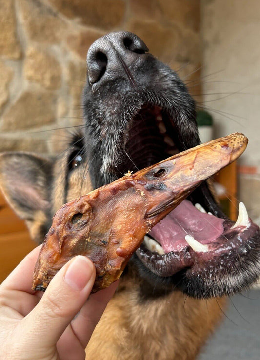 Cabeza de Pato Deshidratada - Snack para Perros