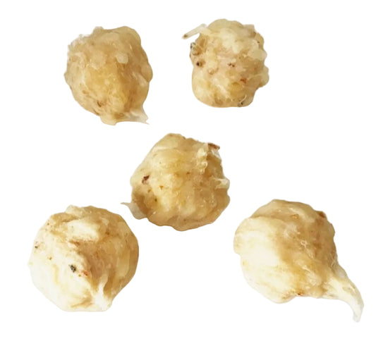 Bolitas de Pulmón y Ternera para Perros