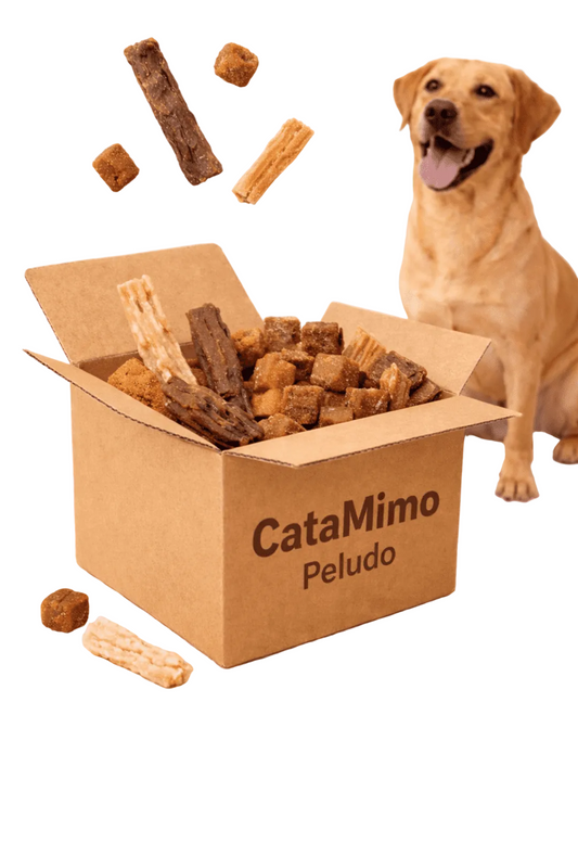 PACK PARA PROBAR 🐶 Caja Sorpresa para Perros con Snacks 100% Naturales