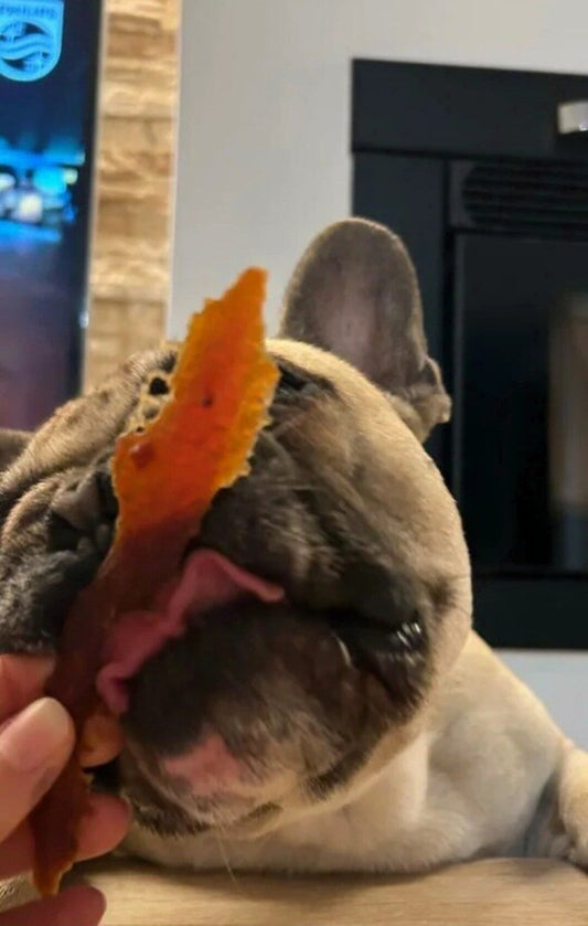 Delicia de Pato Snack Perros y Gatos