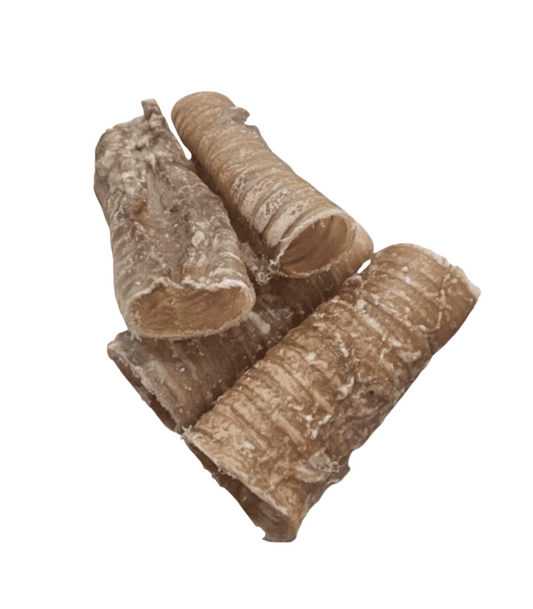 Tráquea de búfalo snack perros