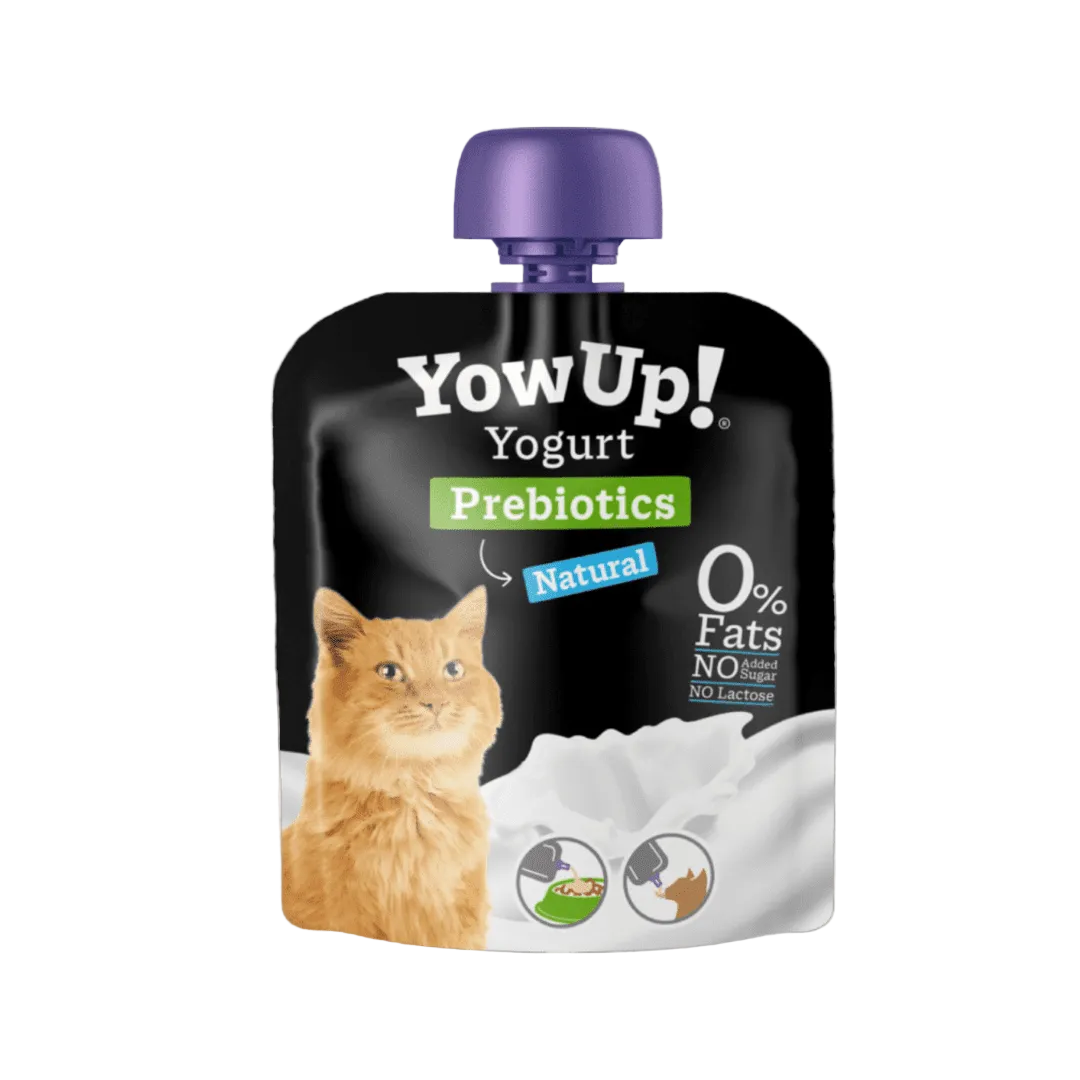 Yowup Yogurt Natural Gatos