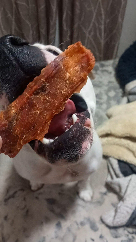 Cecina de Cordero Snack Perros y Gatos