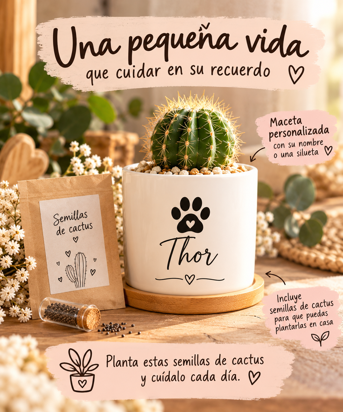 Caja Altar · Huellas que permanecen