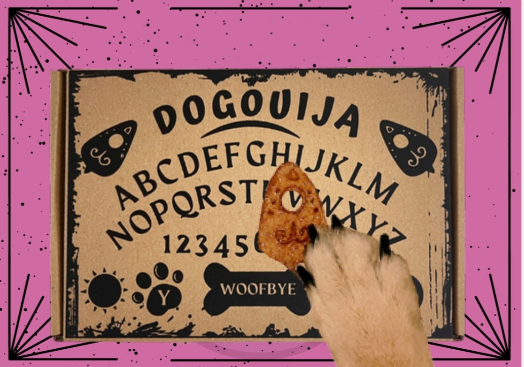 DOGOUIJA - Caja regalo Halloween con 8 galletas para perros